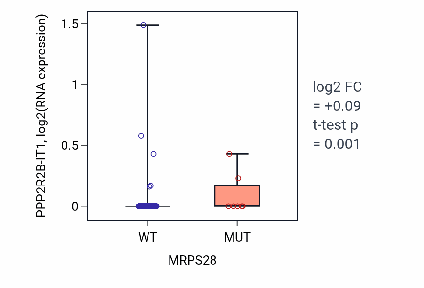 Box plot of PPP2R2B-IT1 in MRPS28-low vs MRPS28-high samples in UCEC.