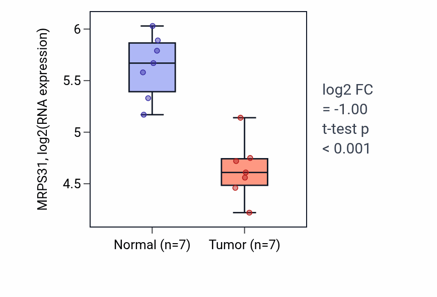 Tumor-vs-normal expression box plot for MRPS31 RNA in THCA.