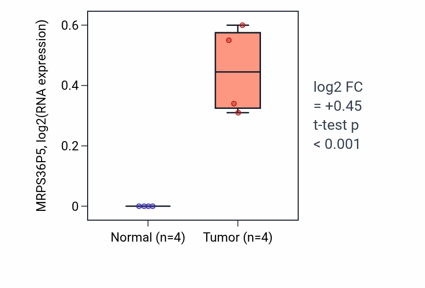 Tumor-vs-normal expression box plot for MRPS36P5 in THCA.