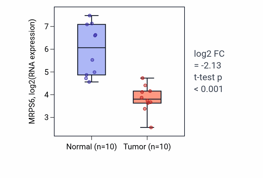 Tumor-vs-normal expression box plot for MRPS6 RNA in KIRP.