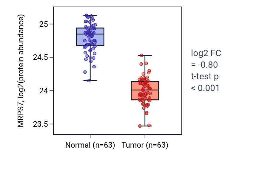 Tumor-vs-normal mass-spec protein box plot for MRPS7 in CCRCC.