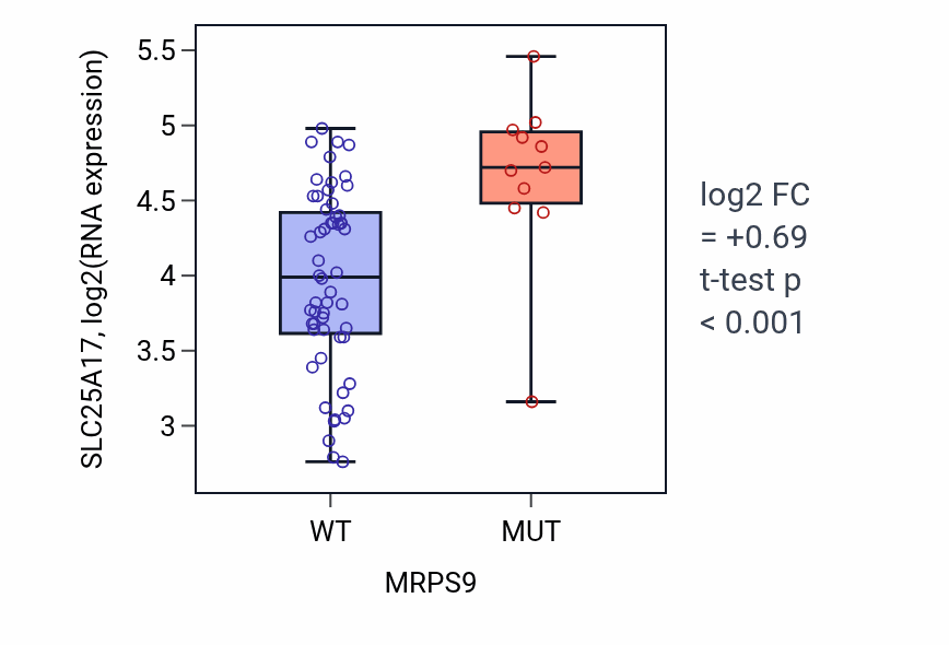 Box plot of SLC25A17 in MRPS9-low vs MRPS9-high samples in LARGE_INTESTINE.