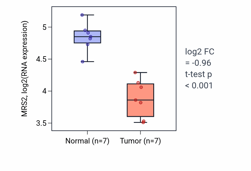 Tumor-vs-normal expression box plot for MRS2 RNA in THCA.