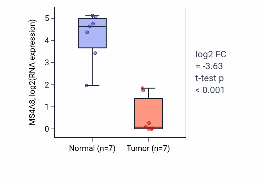Tumor-vs-normal expression box plot for MS4A8 RNA in LUSC.