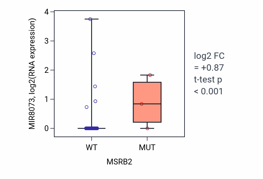 Box plot of MIR8073 in MSRB2-low vs MSRB2-high samples in LUAD.