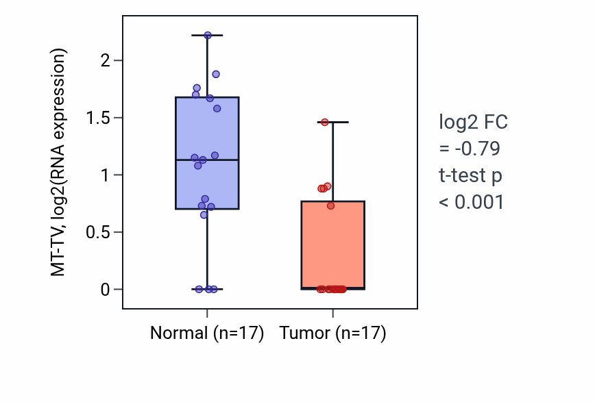 Tumor-vs-normal expression box plot for MT-TV in HNSC.