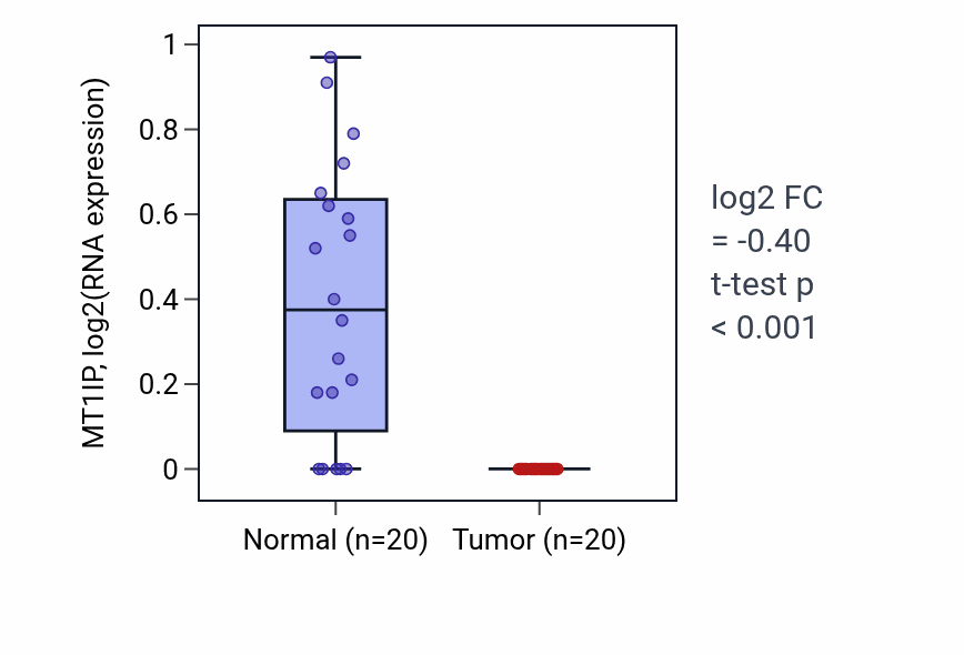 Tumor-vs-normal expression box plot for MT1IP in KIRC.