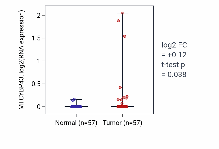 Tumor-vs-normal expression box plot for MTCYBP43 RNA in LUAD.