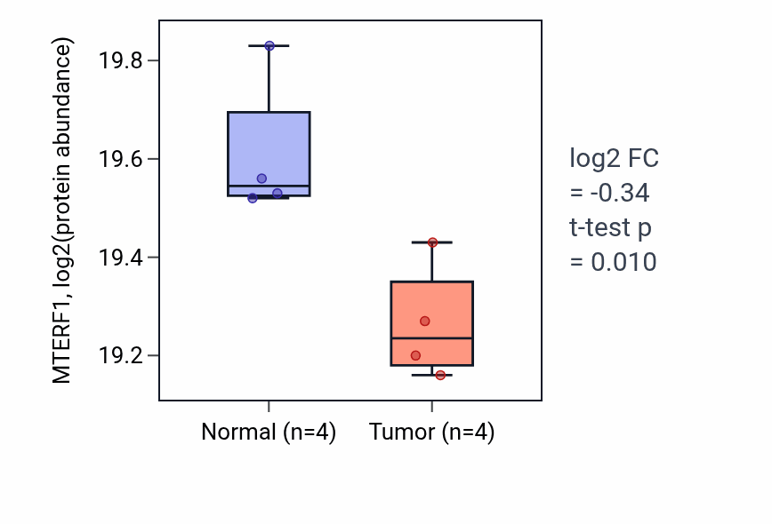 Tumor-vs-normal mass-spec protein box plot for MTERF1 in CCRCC.