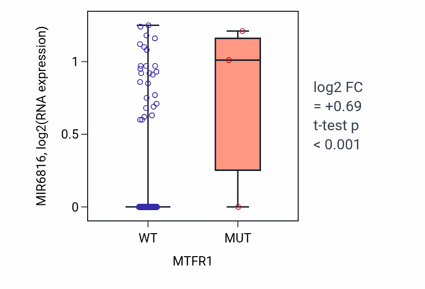 Box plot of MIR6816 in MTFR1-low vs MTFR1-high samples in LUSC.