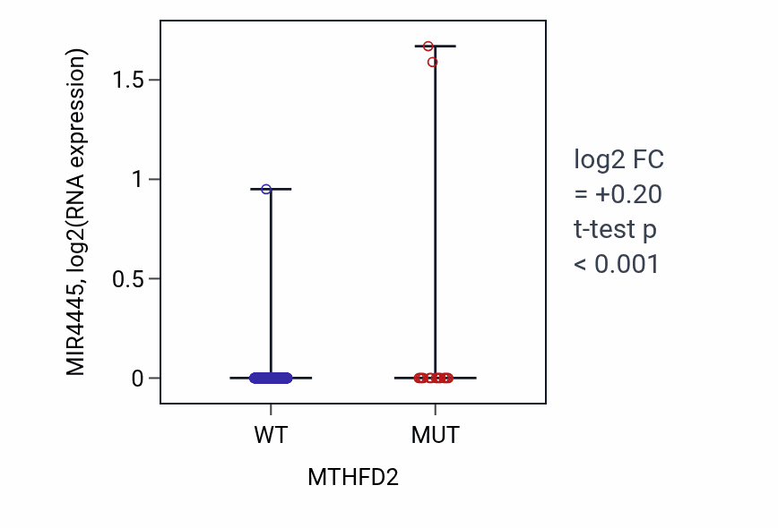 Box plot of MIR4445 in MTHFD2-low vs MTHFD2-high samples in UCEC.