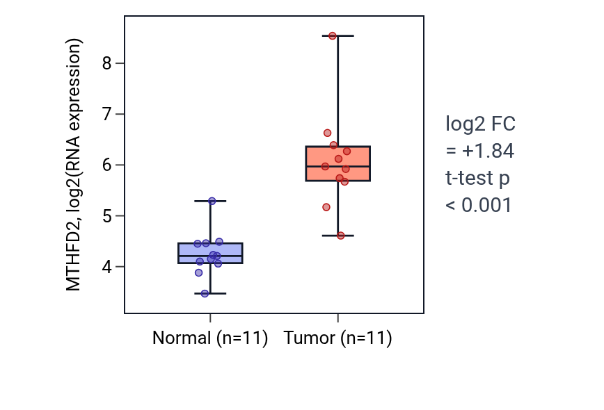 Tumor-vs-normal expression box plot for MTHFD2 in HNSC.