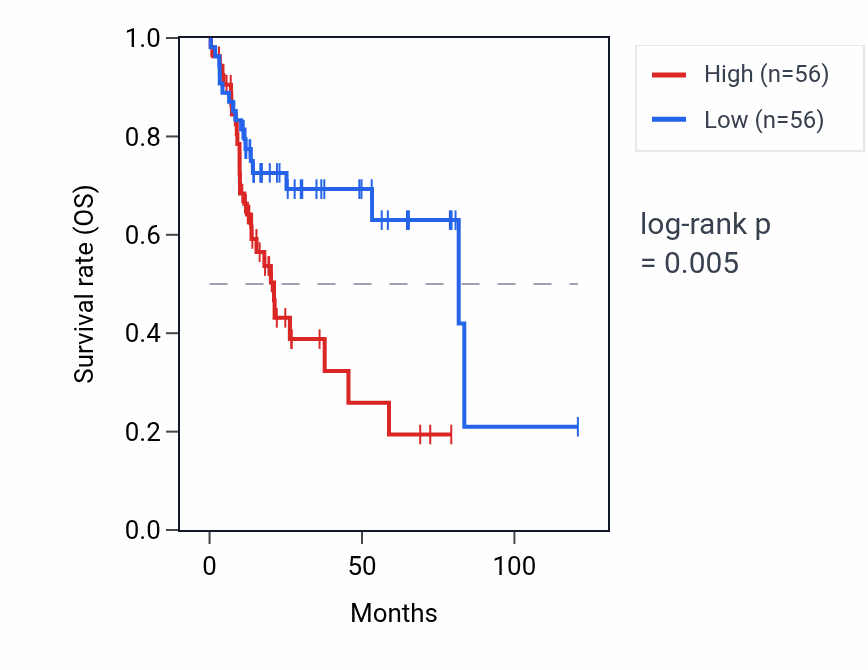 Kaplan&ndash;Meier survival curve for MTND1P23 RNA expression in LIHC: high vs low expression groups.