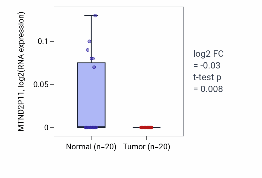 Tumor-vs-normal expression box plot for MTND2P11 in KIRC.