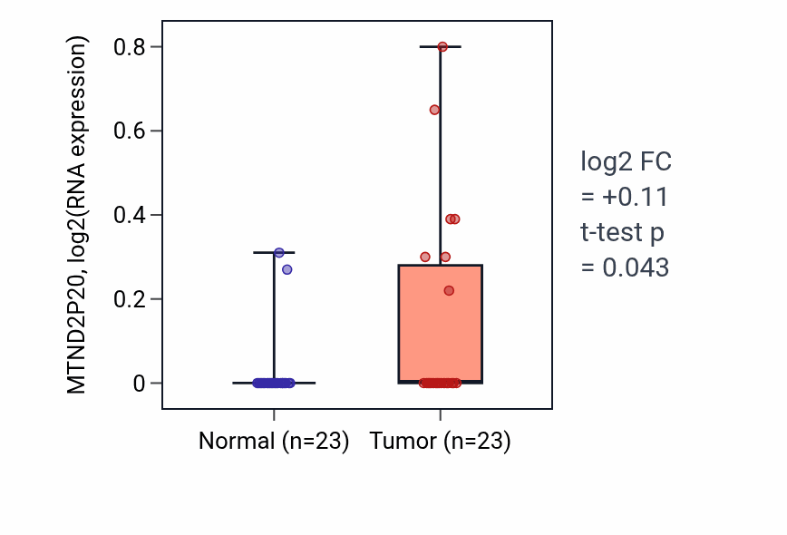 Tumor-vs-normal expression box plot for MTND2P20 in UCEC.