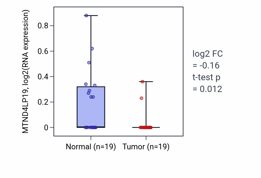 Tumor-vs-normal expression box plot for MTND4LP19 in STAD.