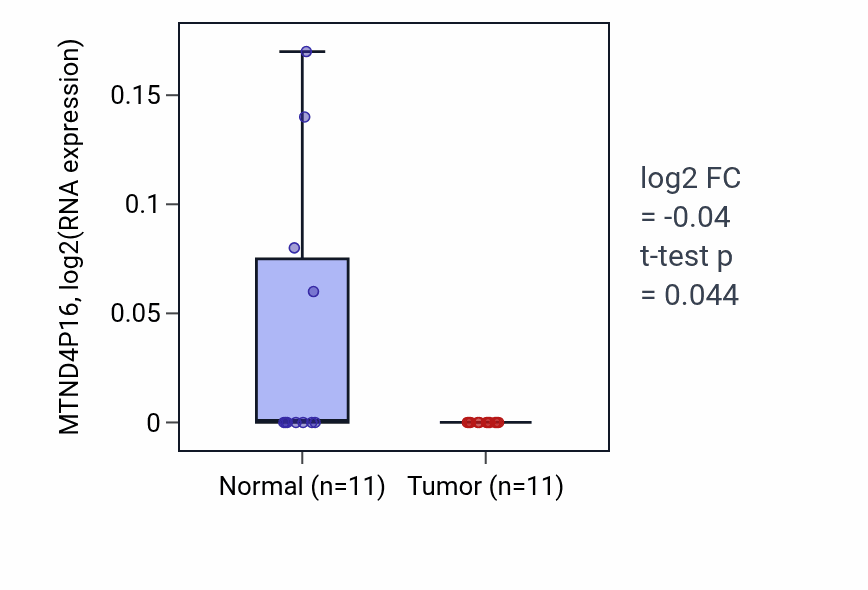 Tumor-vs-normal expression box plot for MTND4P16 RNA in UCEC.