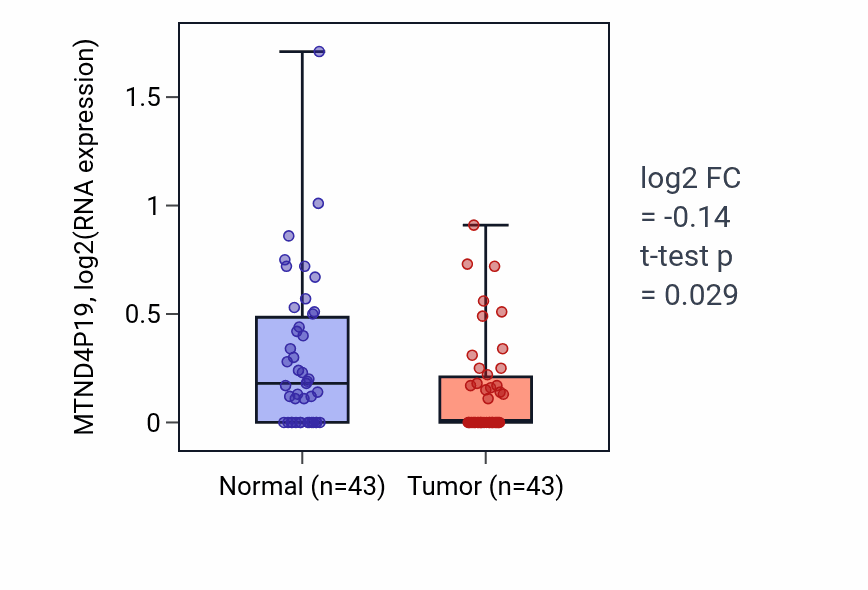 Tumor-vs-normal expression box plot for MTND4P19 in HNSC.