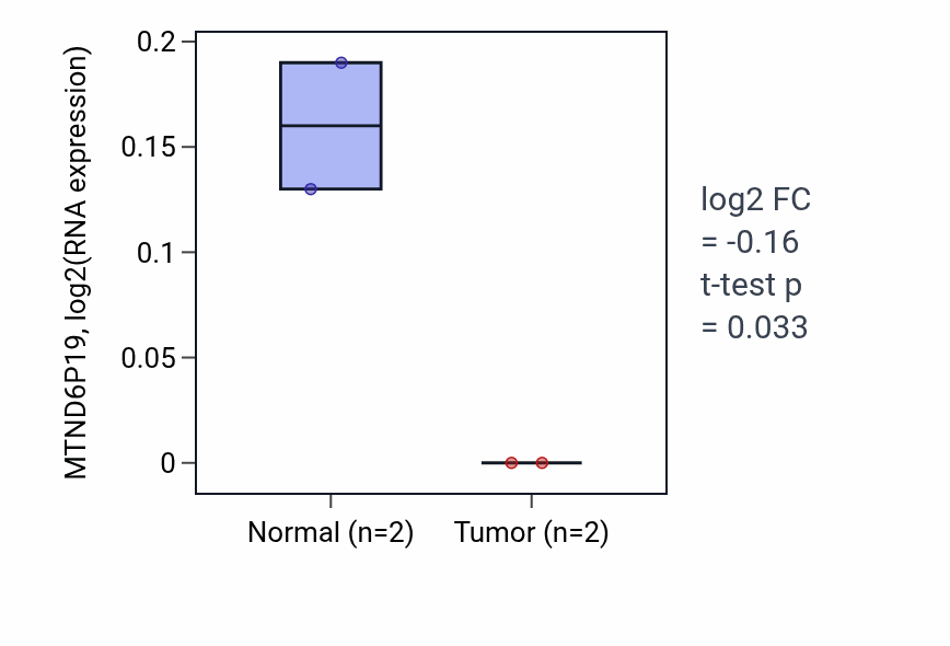 Tumor-vs-normal expression box plot for MTND6P19 in READ.
