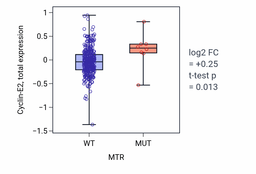 Box plot of Cyclin-E2 in MTR-low vs MTR-high samples in BLCA.