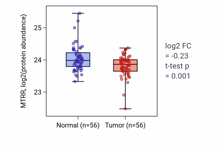 Tumor-vs-normal mass-spec protein box plot for MTRR in HNSC.