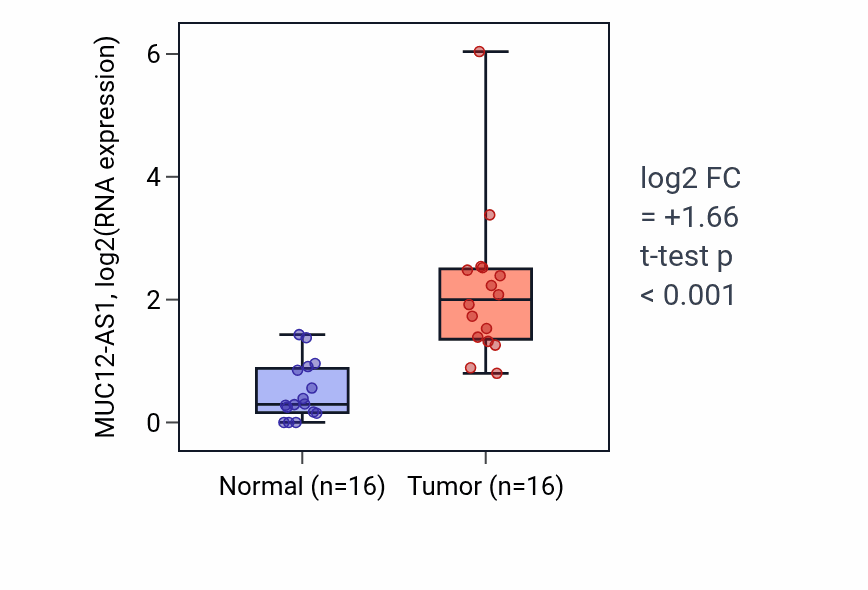 Tumor-vs-normal expression box plot for MUC12-AS1 in HNSC.