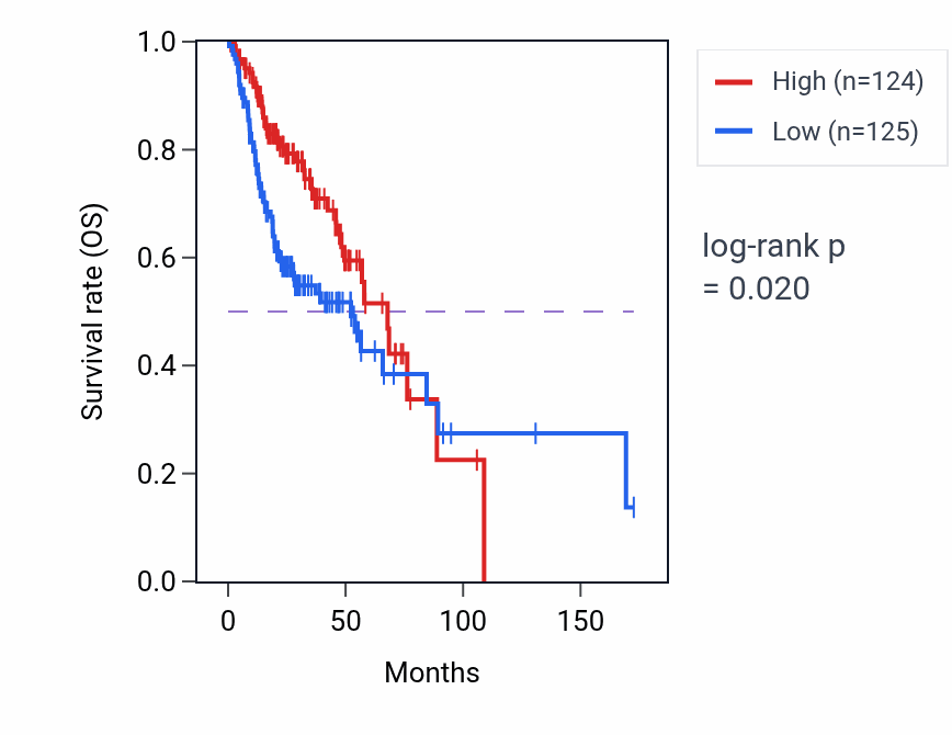 Kaplan&ndash;Meier survival curve for MUC20-OT1 RNA expression in HNSC: high vs low expression groups.