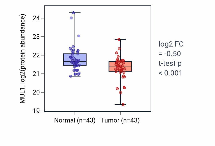 Tumor-vs-normal mass-spec protein box plot for MUL1 in HNSC.