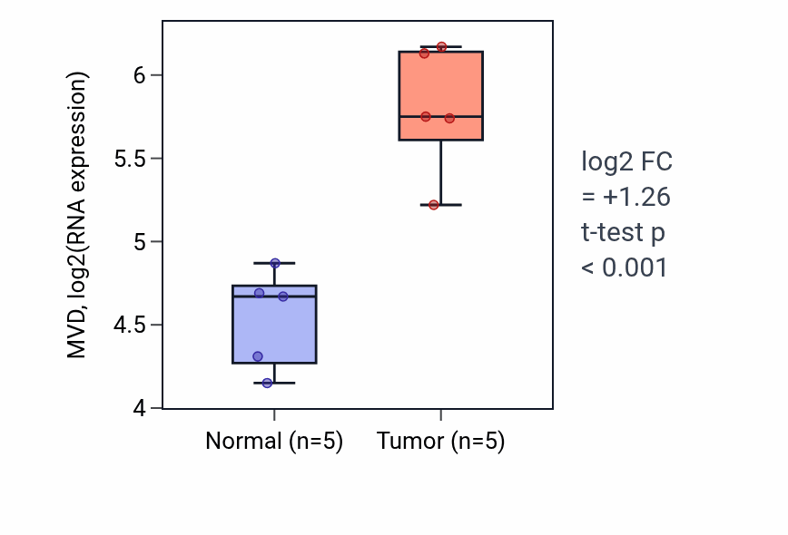 Tumor-vs-normal expression box plot for MVD RNA in COAD.