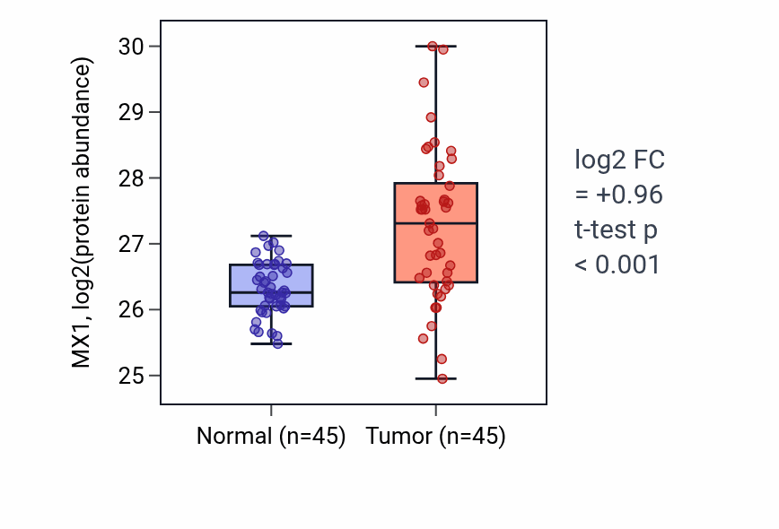 Tumor-vs-normal mass-spec protein box plot for MX1 in HNSC.