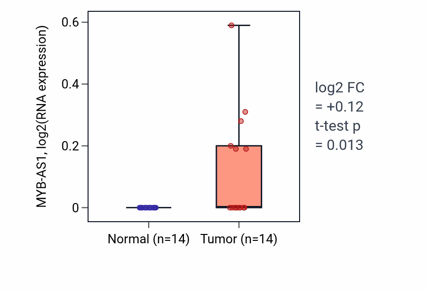 Tumor-vs-normal expression box plot for MYB-AS1 in BLCA.