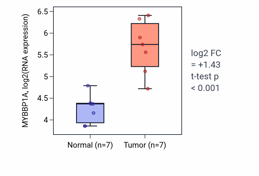 Tumor-vs-normal expression box plot for MYBBP1A RNA in COAD.