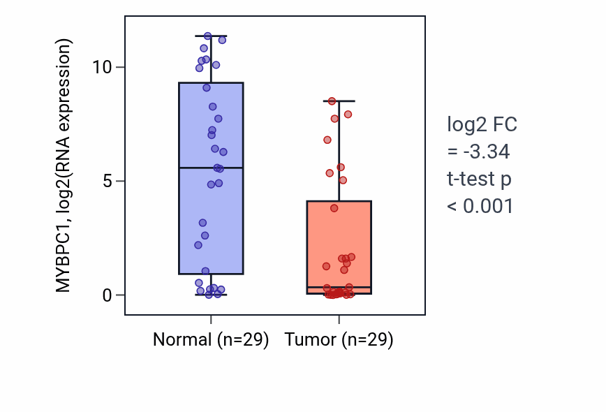 Tumor-vs-normal expression box plot for MYBPC1 in HNSC.