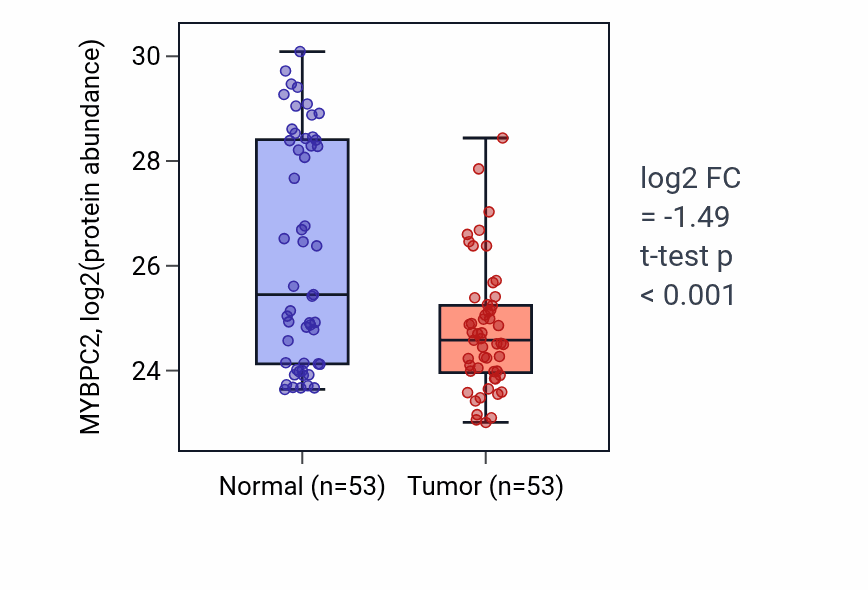 Tumor-vs-normal mass-spec protein box plot for MYBPC2 in HNSC.