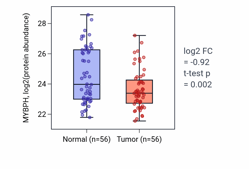 Tumor-vs-normal mass-spec protein box plot for MYBPH in HNSC.