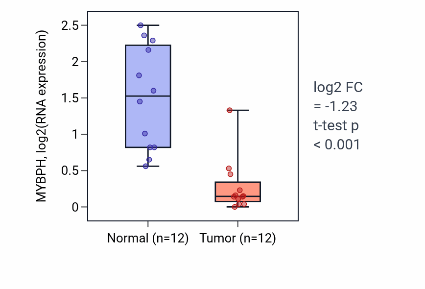 Tumor-vs-normal expression box plot for MYBPH RNA in KIRC.