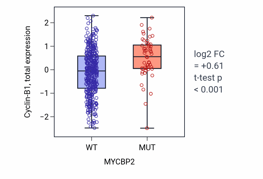 Box plot of Cyclin-B1 in MYCBP2-low vs MYCBP2-high samples in UCEC.