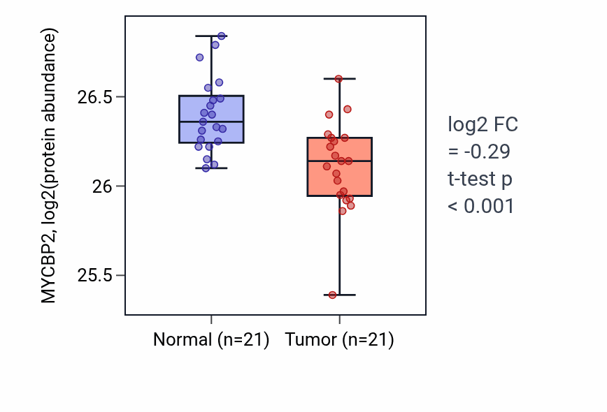 Tumor-vs-normal mass-spec protein box plot for MYCBP2 in HNSC.
