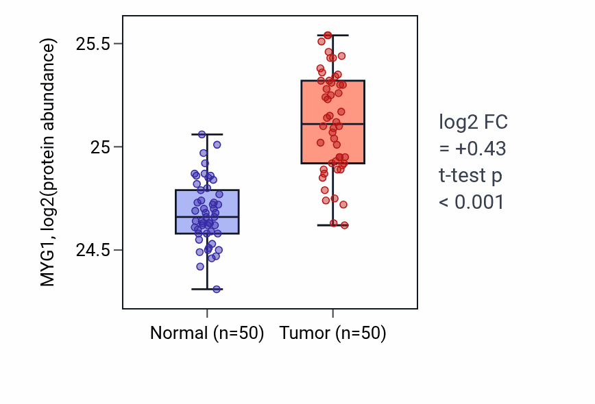 Tumor-vs-normal mass-spec protein box plot for MYG1 in LSCC.