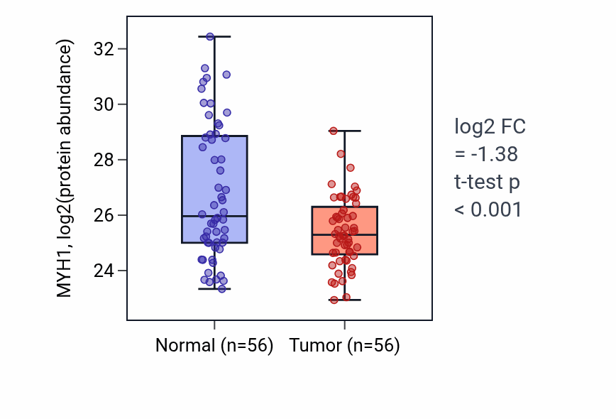 Tumor-vs-normal mass-spec protein box plot for MYH1 in HNSC.