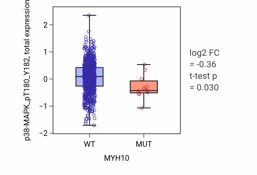 Box plot of p38-MAPK_pT180_Y182 in MYH10-low vs MYH10-high samples in BRCA.