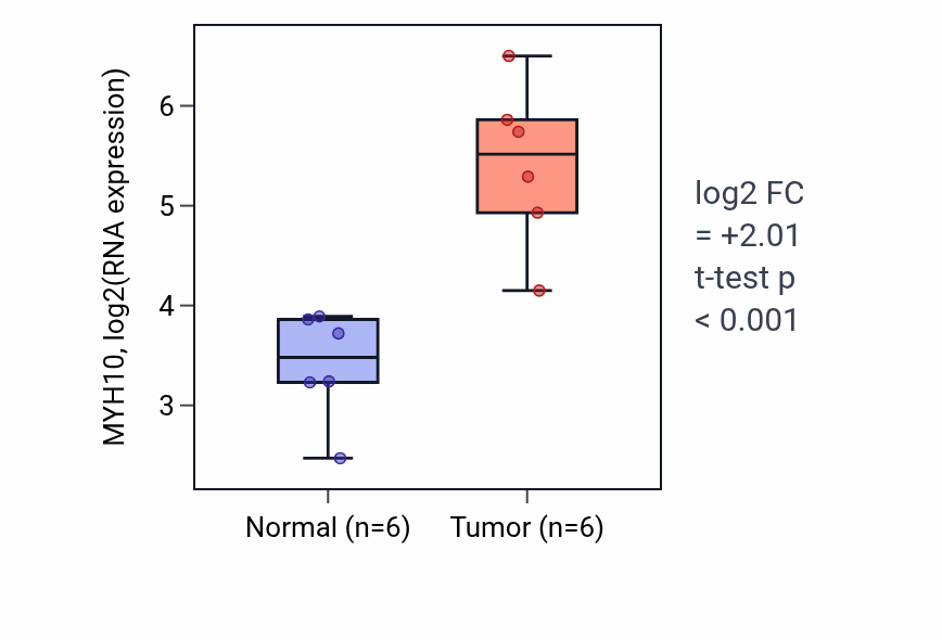 Tumor-vs-normal expression box plot for MYH10 RNA in HNSC.