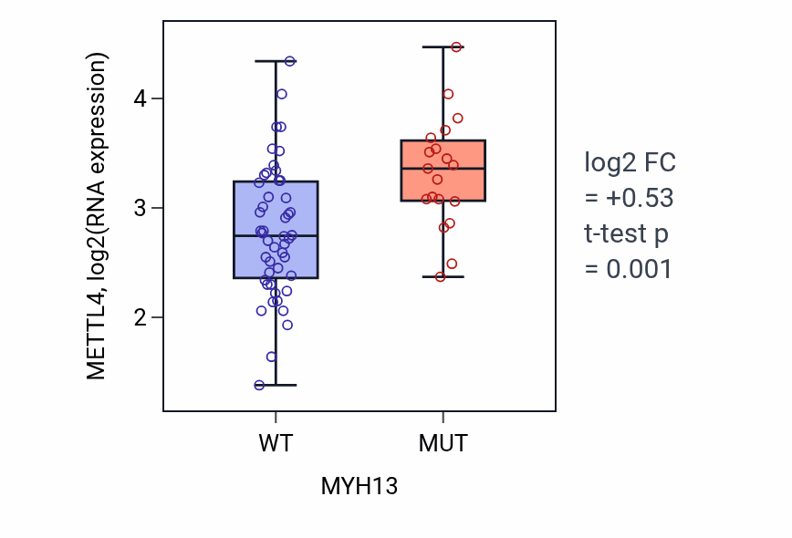 Box plot of METTL4 in MYH13-low vs MYH13-high samples in LARGE_INTESTINE.