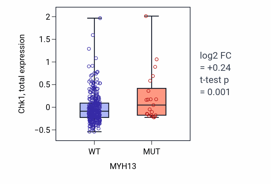 Box plot of Chk1 in MYH13-low vs MYH13-high samples in COAD.
