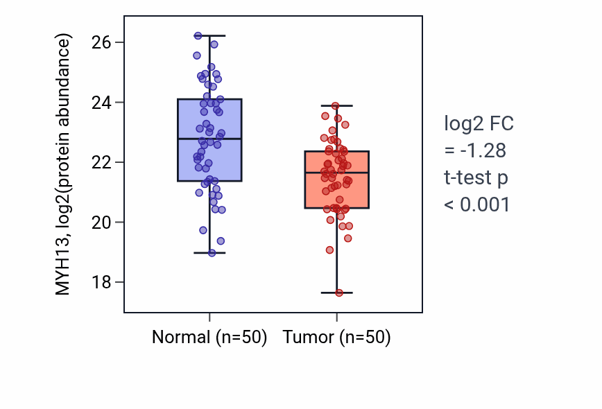 Tumor-vs-normal mass-spec protein box plot for MYH13 in HNSC.