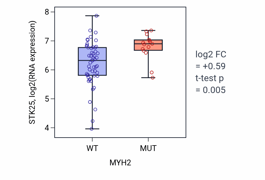 Box plot of STK25 in MYH2-low vs MYH2-high samples in SKIN.
