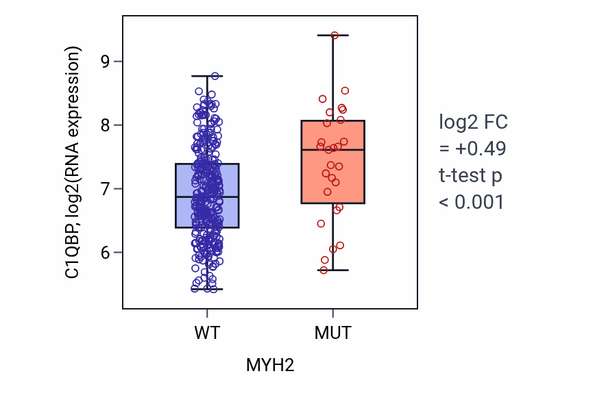 Box plot of C1QBP in MYH2-low vs MYH2-high samples in STAD.