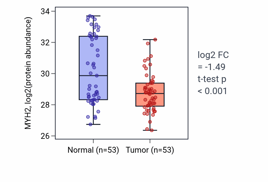 Tumor-vs-normal mass-spec protein box plot for MYH2 in HNSC.