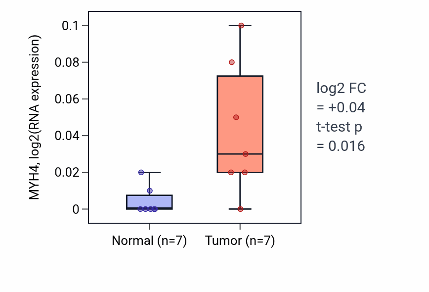 Tumor-vs-normal expression box plot for MYH4 in BLCA.