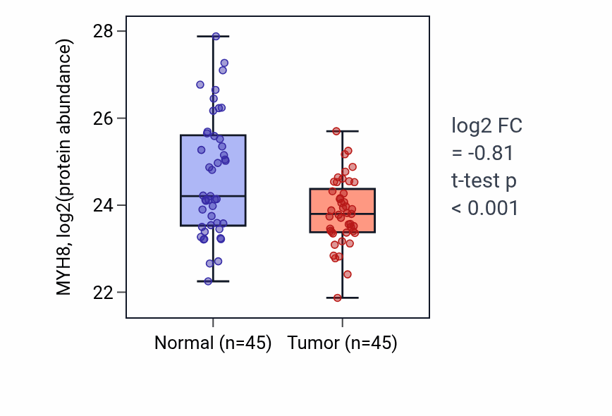 Tumor-vs-normal mass-spec protein box plot for MYH8 in HNSC.